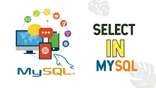SQL Select Ep 14 MySQL Databases Integration