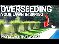 How to OVERSEED an UGLY LAWN in SPRING