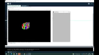 Processing Project Mapping Random Walker