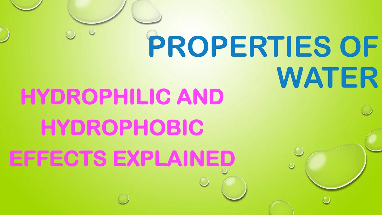 Properties of Water- Hydrophobic and Hydrophilic Effects Explained