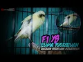 Download Lagu FULLL WHOLESALE MATERIAL SUITABLE FOR SALE AGAIN