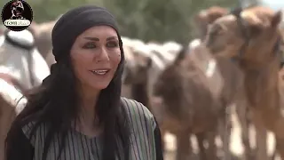 ذياب هباب الريح 6  ذياب هباب الريح 6