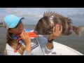Catching MONSTER SHEEPSHEAD in TEXAS Inshore Fishing for MANY DIFFERENT SPECIES