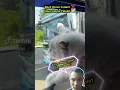 Download Lagu POV: Kucing Mania Telolet #basuri #busmania #meme