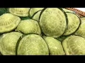 Download Lagu Pandan Angku With Coconut Filling 香兰椰丝龟糕