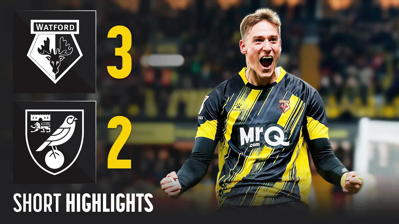COMEBACK FROM TWO GOALS DOWN! 💪😤 | Watford 3-2 ...