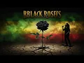 Download Lagu Shaggy – Black Roses 💥 ( Roots Reggae Lyrics Video | 2025