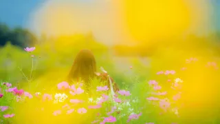 van yorge summer feelings mark u0026 lukas remix 