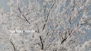 Download 더보이즈 (THE BOYZ) - Spring Snow Piano Cover 피아노 커버 MP3
