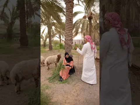حلم زينب راح يتحقق