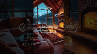 سورة الهمزة ويل لكل همزة لمزة 