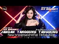 Download Lagu BREAKBEAT TERBARU 2025 || JANGAN TANGGUNG TANGGUNG || BREAKBEAT VIRAL TIKTOK 2025 || Dj BroNet Rmx