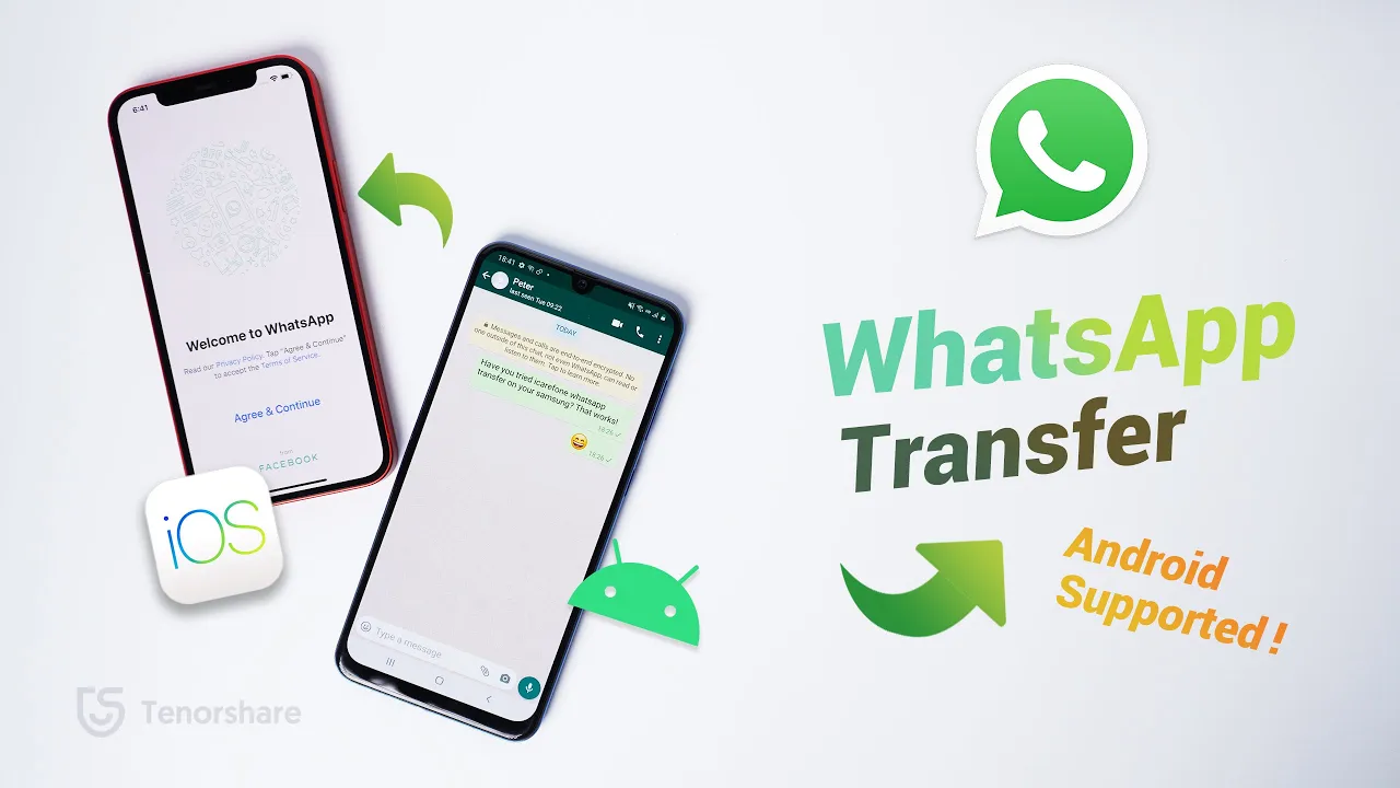 Wutsapper App Tutorial - Transfer WhatsApp Data from Android to iPhone without Computer. 