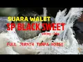 Download Lagu suara panggil walet MP3 cek di channel!!!💯