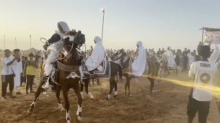الفروسية الشعبية الليبية فرسان ليبيا وين تنادينا 