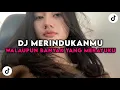 Download Lagu DJ WALAUPUN BANYAK YANG MERAYUKU AKU GA MAU SELAIN KAMU | DJ MERINDUKANMU JEDAG JEDUG REVERB TERBARU