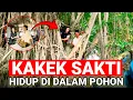 Download Lagu VIRAL..! KAKEK SAKTI HIDUP DI DALAM POHON LAGI VIRAL DI JAWA TIMUR