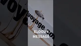 Message from above #windedvoyage #sailinglifestyle #africa #senegal #travel