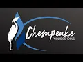 Chesapeake Public Schools - School Board Live Stream