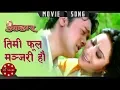 Lagu Timi Phool Manjari Hau | Upahar | Uttam Pradhan | Niruta Singh | Nepali Movie Song