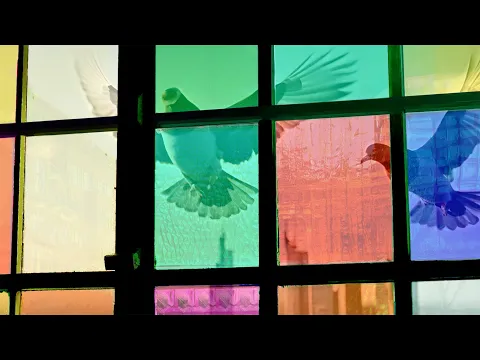 Gerhard - trailer | IFFR 2025