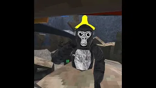 Checking out the new update in gtag with king