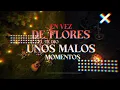 Los Primos del Este - MERECES MEJOR (Lyric Video)