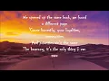 Sigala, Becky Hill - Wish You Well [Lyrics]