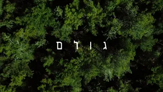 רביד פלוטניק גולם הקליפ הרשמי 