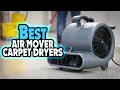 Top 5 BEST Air Mover Carpet Dryers In 2025 Carpet Dryer Fan