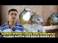 Lagu BANDAR BURUNG CIBLEK SEMI!!! UPDATE HARGA BURUNG DIKIOS NASIKIN PASAR BURUNG PRAMUKA HARI INI