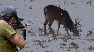 صيد الغزلان في البرية بالسهم 😱🔥👍👌 الجزء الأول