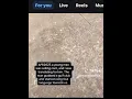 Racist yells at vendor enamoradoalex HANFORD CA