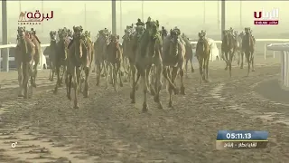 ش5 الهبيبة لـ سيف معيوف سالم حمد الدرعي مهرجان سمو الأمير المفدى 6 3 2023ص لقايا بكار إنتاج 7 37 58 