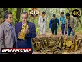 Lagu CID Team को जंगल में मिलीं हज़ारों साल पुरानी सोने की मूर्तियाँ | CID New Episodes 2026