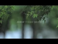 Download Lagu NHK VIDEO BANK - UNESCO World Heritage: Kumano Kodo Pilgrimage Routes -