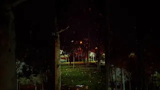 نحارب ظلمة الدنيا 