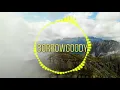 SONIYO Lofi-Flip || slowed & reverb|| Emran Hashmi || Kangana||  Drone and Highlands|| 💜💗