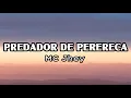 Download Lagu PREDADOR DE PERERECA - Lyrics