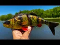 Do Pike Eat Perch