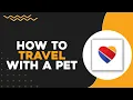 How To Travel With a Pet on Southwest Airlines Quick Easy
