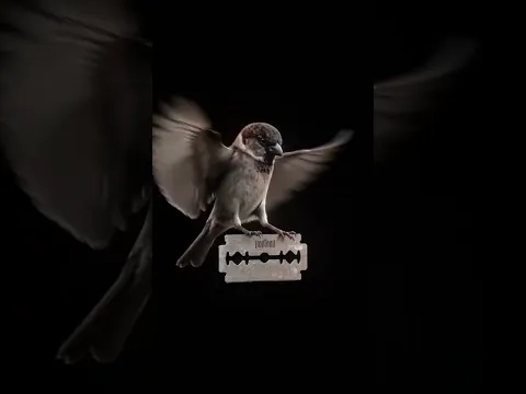 …