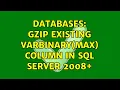 Databases GZip existing varbinary max column in Sql Server 2008