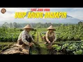 Lagu URIP MUNG MAMPIR 🌾 Lagu Jawa Santai Tentang Kehidupan, Nrimo ling Pandum #lagujawaterbaru