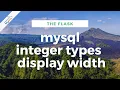 MySql Integer Types Display Width