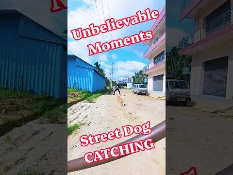 ON-DUTY MUNICIPALITY Dog catching #shorts #viral #ytshortsindia #pets #rescue