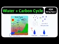 GCSE Biology AQA - Water Carbon Cycles How Materials Cycle 2026 exams