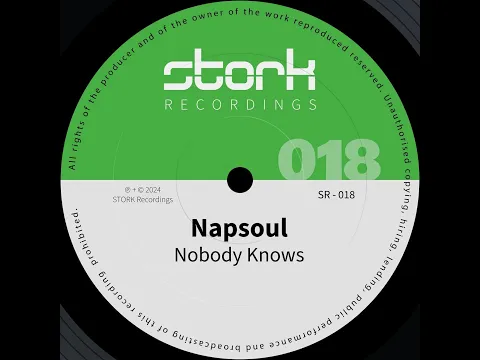 Download MP3 Napsoul - Nobody Knows (Original Mix)