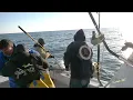 Hooked On OC - Episode