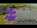 Download Lagu disaat lahan cari ikan sempit dan yang cari ikan melangit! akankah masih ada peluang harapan🤔